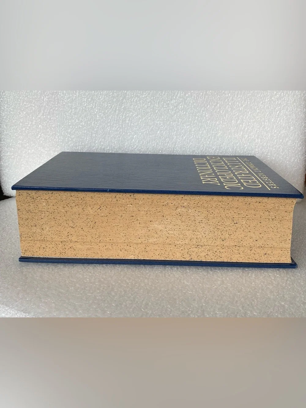 Tormont Webster's ILLUSTRATED ENCYCLOPEDIC DICTIONARY Vintage Hardcover Book